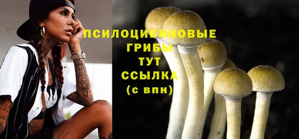 прущий лед Абдулино