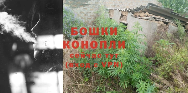 дживик Корсаков