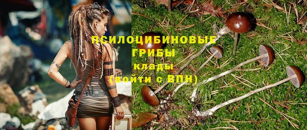 прущая мука Алзамай
